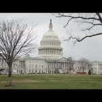 'Chloe Cole Act' against gender-affirming care for minors