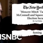 'Moscow Mitch' McConnell 'Fuming' With Trolling | The Beat