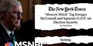 'Moscow Mitch' McConnell 'Fuming' With Trolling | The Beat