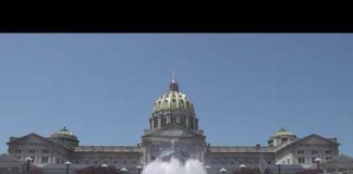 Shapiro's Shocking Shift on Transgender Athletes